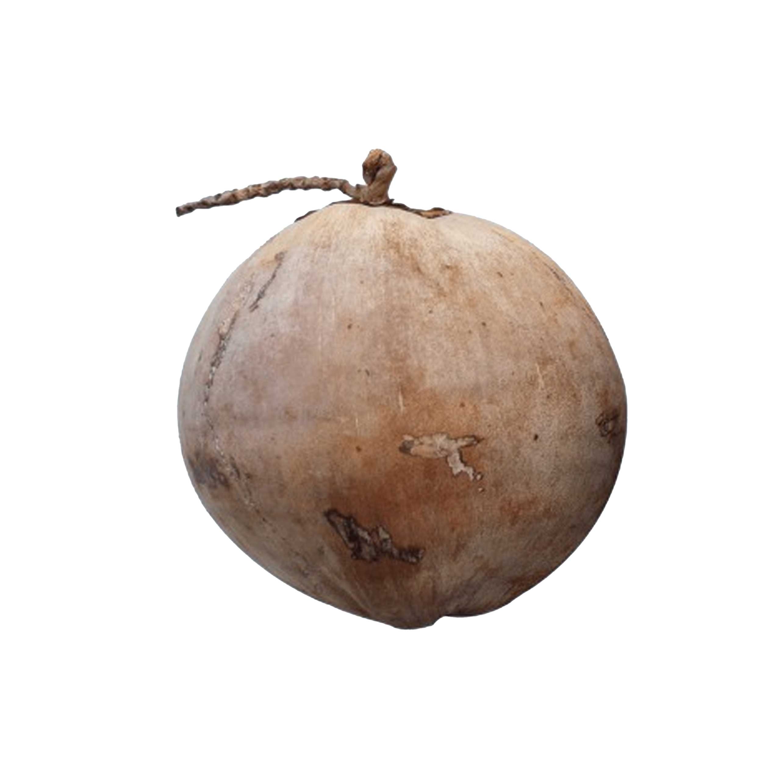 Coconut with Husk