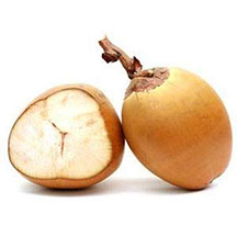Sev Elaneer